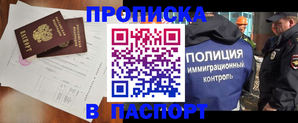 где прописаться в Сураже